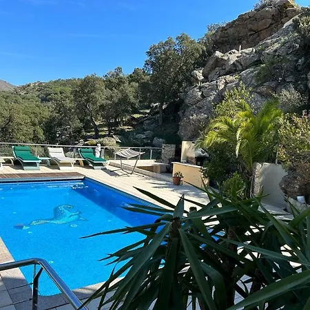 Apartment Casaleo Harry - / Costa Brava Roses